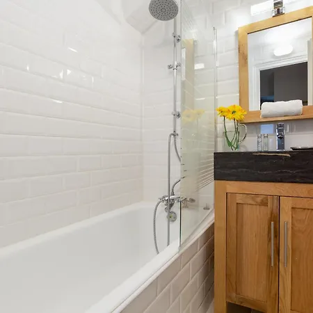 Apartman Lachenal 209a - Happy